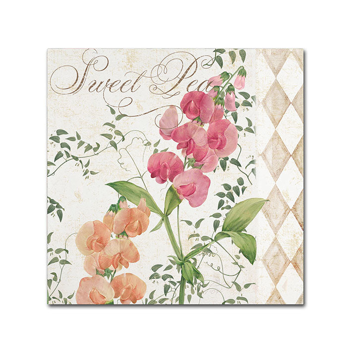 Color Bakery Sweet Pea Canvas Wall Art 14 x 14 Image 1