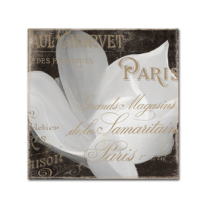 Color Bakery Fleurs Blanc II Canvas Wall Art 14 x 14 Image 1