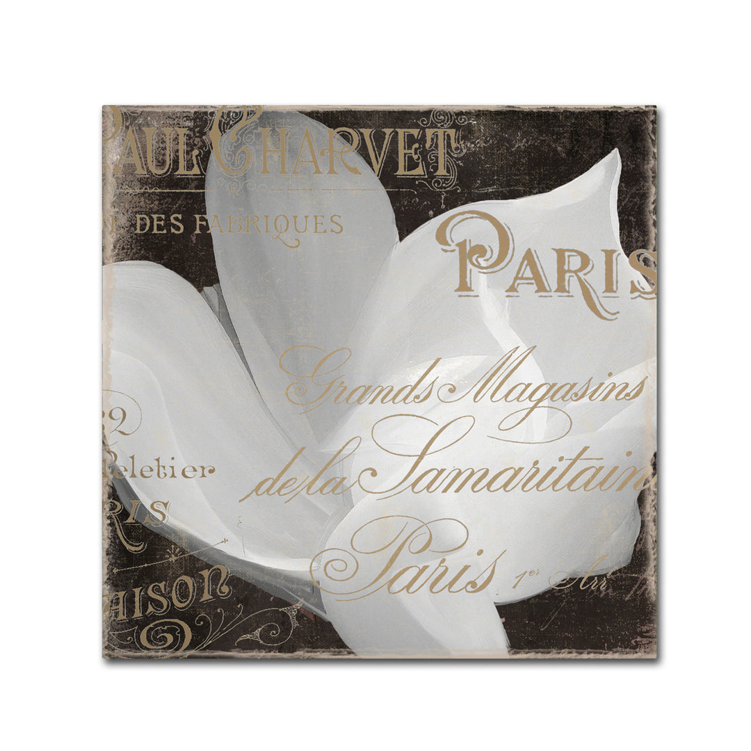 Color Bakery Fleurs Blanc II Canvas Wall Art 14 x 14 Image 2