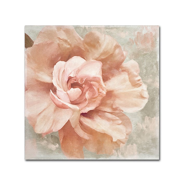 Color Bakery Petals Impasto I Canvas Wall Art 14 x 14 Image 1