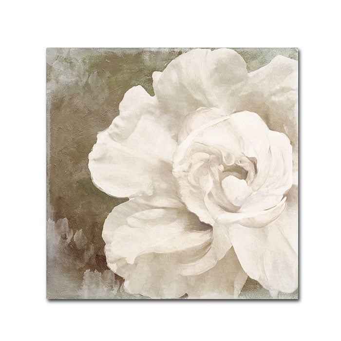 Color Bakery Petals Impasto II Canvas Wall Art 14 x 14 Image 1