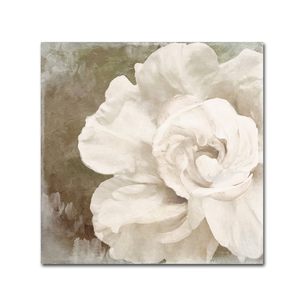 Color Bakery Petals Impasto II Canvas Wall Art 14 x 14 Image 2