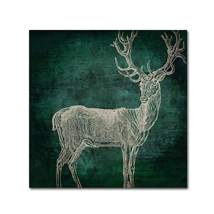 Color Bakery Emerald Deer Canvas Wall Art 14 x 14 Image 1