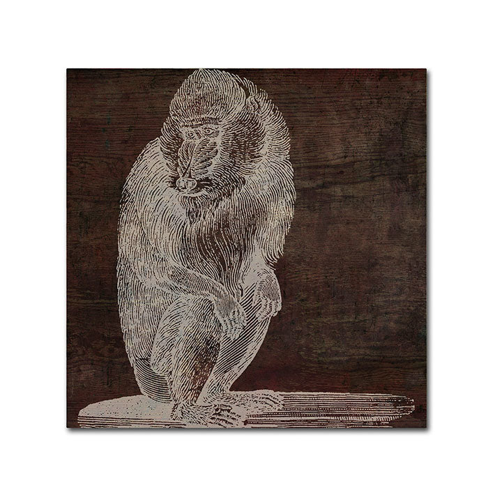 Color Bakery Monkey Canvas Wall Art 14 x 14 Image 1