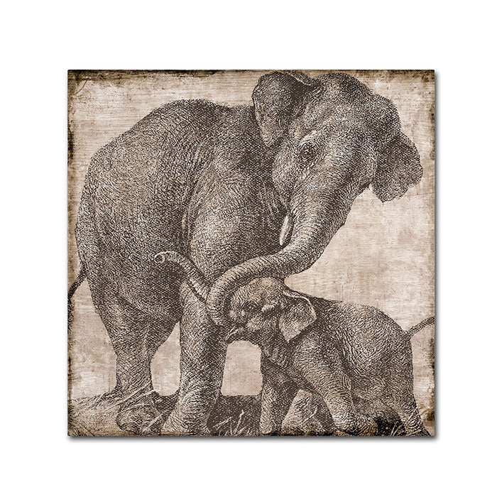 Color Bakery Elephant 2 Canvas Wall Art 14 x 14 Image 1