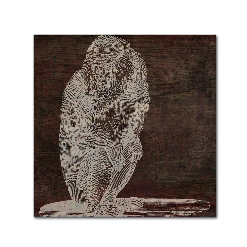 Color Bakery Monkey Canvas Wall Art 14 x 14 Image 2