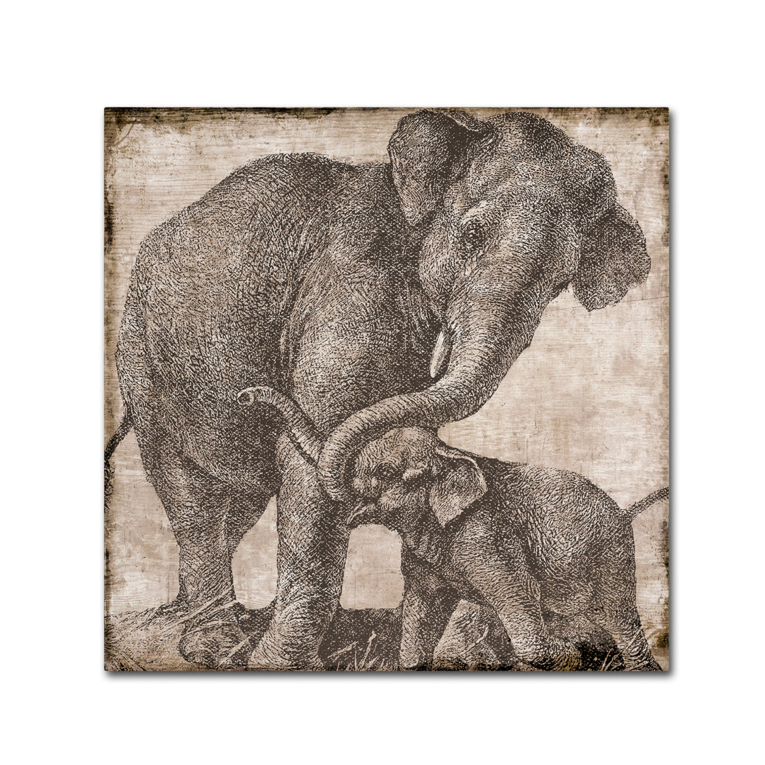 Color Bakery Elephant 2 Canvas Wall Art 14 x 14 Image 2