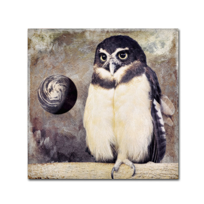 Color Bakery Moon Owl Canvas Wall Art 14 x 14 Image 1