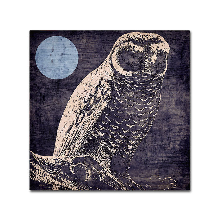 Color Bakery Owl 1 Canvas Wall Art 14 x 14 Image 1