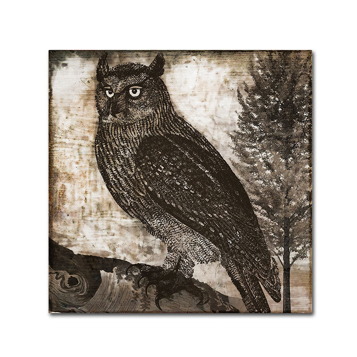 Color Bakery Owl 2 Canvas Wall Art 14 x 14 Image 1