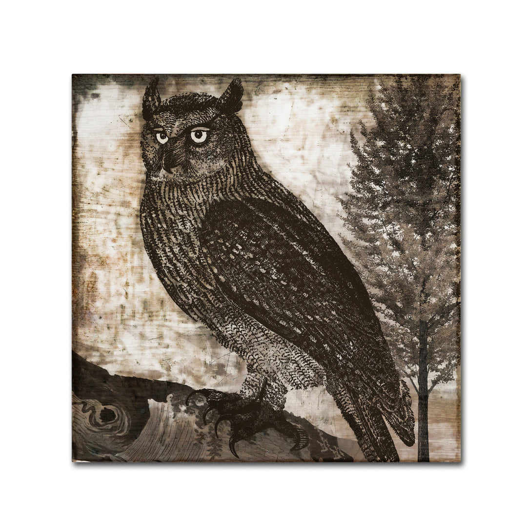 Color Bakery Owl 2 Canvas Wall Art 14 x 14 Image 2