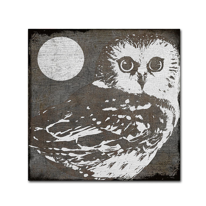 Color Bakery Owl 3 Canvas Wall Art 14 x 14 Image 1