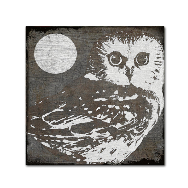 Color Bakery Owl 3 Canvas Wall Art 14 x 14 Image 2