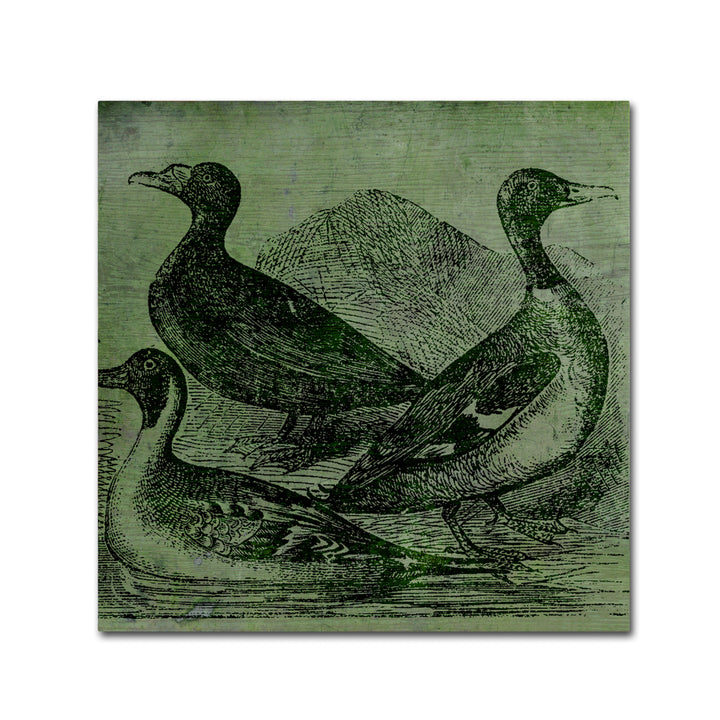 Color Bakery Mallards Canvas Wall Art 14 x 14 Image 2