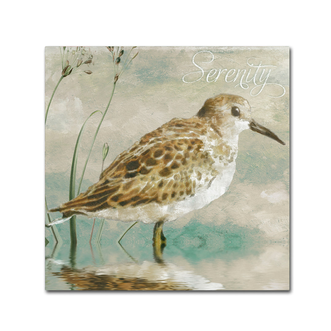 Color Bakery Sand Piper I Canvas Wall Art 14 x 14 Image 2