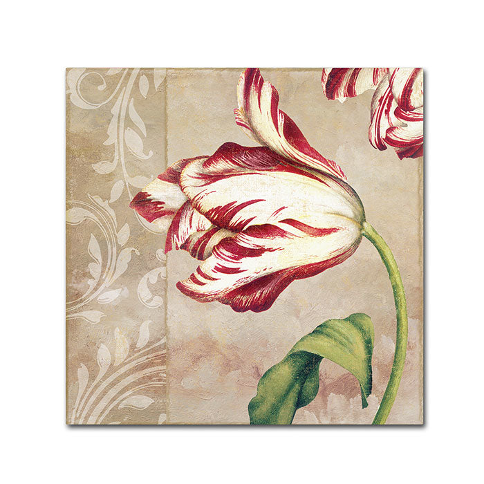 Color Bakery Peppermint Tulips II Canvas Wall Art 14 x 14 Image 1