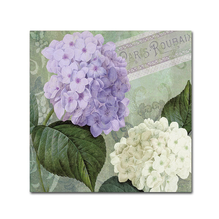 Color Bakery Hortensia 1 Canvas Wall Art 14 x 14 Image 1