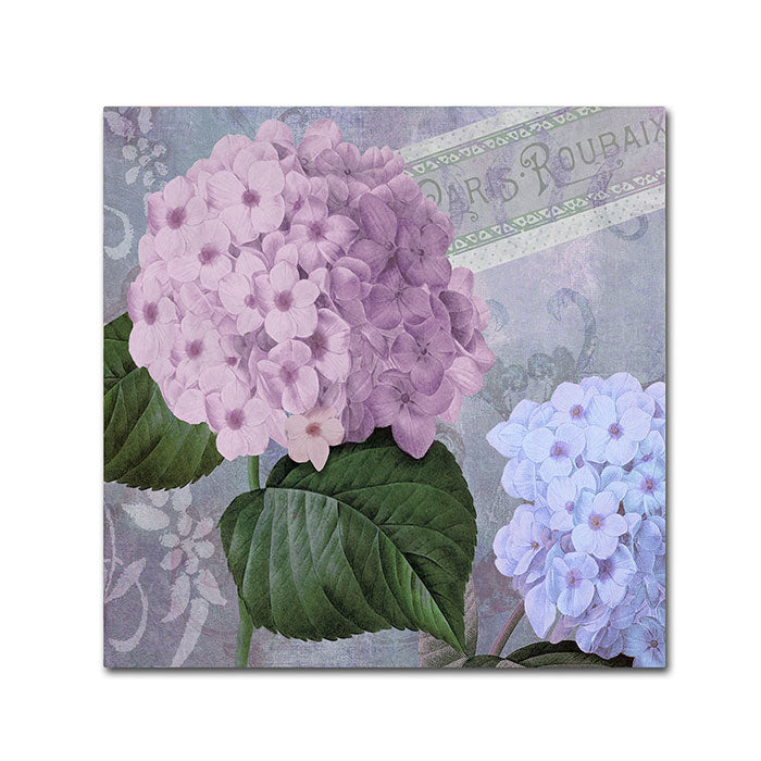 Color Bakery Hortensia 2 Canvas Wall Art 14 x 14 Image 1