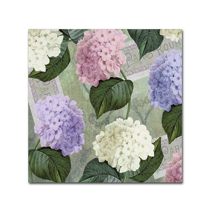 Color Bakery Hortensia Soft Green Canvas Wall Art 14 x 14 Image 1