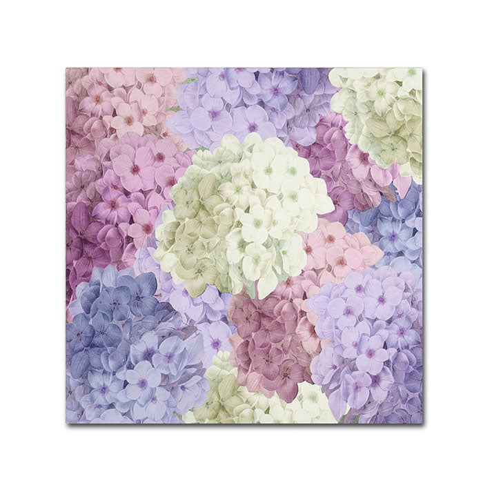 Color Bakery Hortensia Groundless Warm Tones Canvas Wall Art 14 x 14 Image 1