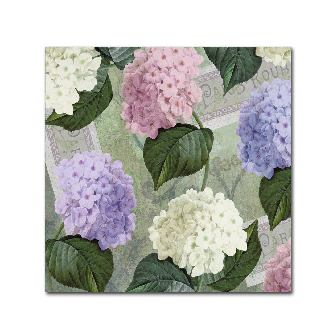 Color Bakery Hortensia Soft Green Canvas Wall Art 14 x 14 Image 2