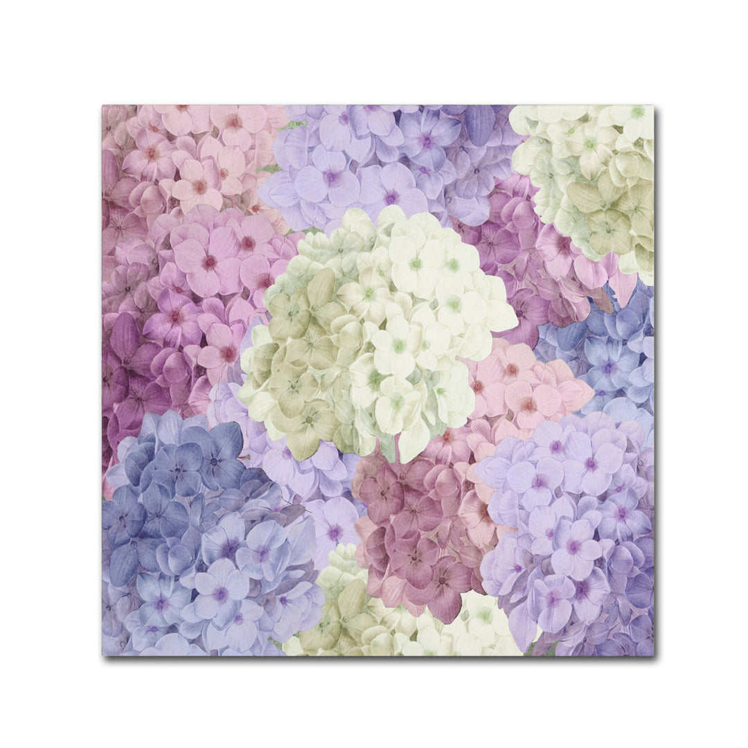 Color Bakery Hortensia Groundless Warm Tones Canvas Wall Art 14 x 14 Image 2