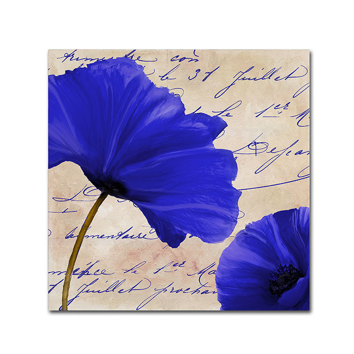 Color Bakery Coquelicots Bleues II Canvas Wall Art 14 x 14 Image 1