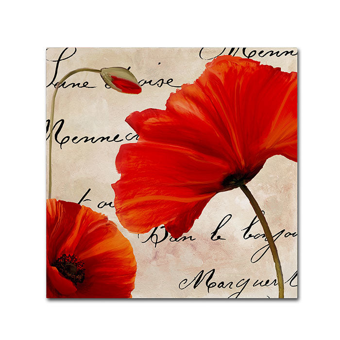 Color Bakery Coquelicots Rouge II Canvas Wall Art 14 x 14 Image 1