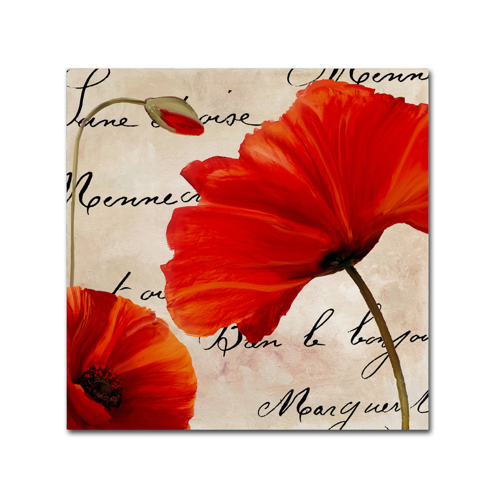 Color Bakery Coquelicots Rouge II Canvas Wall Art 14 x 14 Image 2