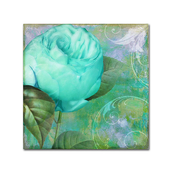 Color Bakery Aqua Rose I Canvas Wall Art 14 x 14 Image 1