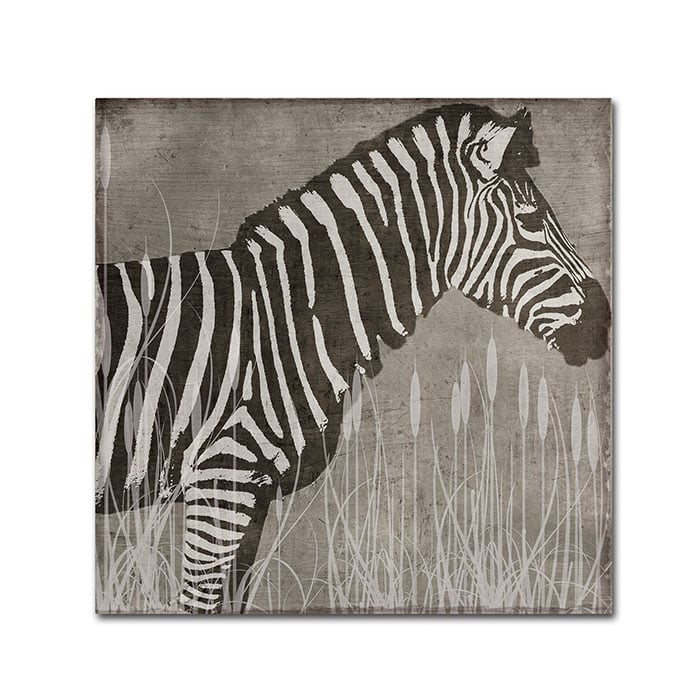 Color Bakery Zebra Canvas Wall Art 14 x 14 Image 1