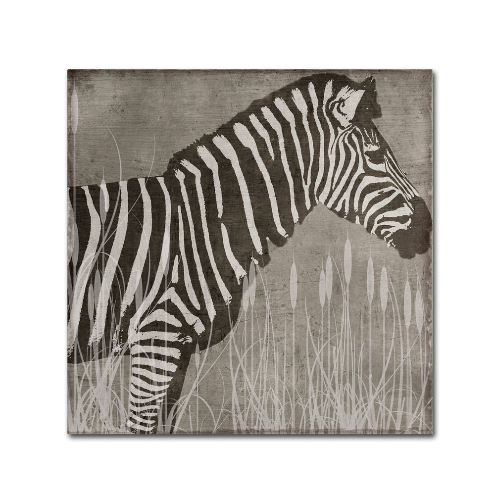 Color Bakery Zebra Canvas Wall Art 14 x 14 Image 2