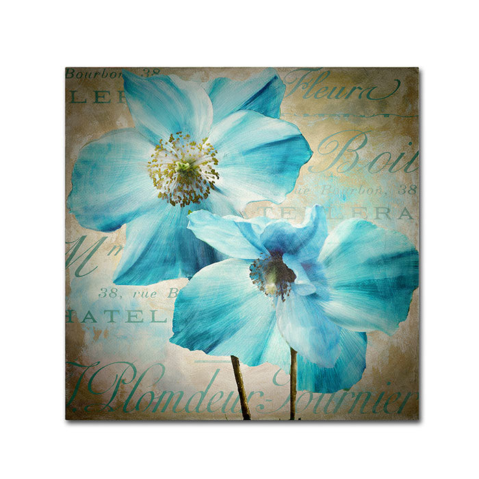 Color Bakery Himalayan Blue I Canvas Wall Art 14 x 14 Image 1