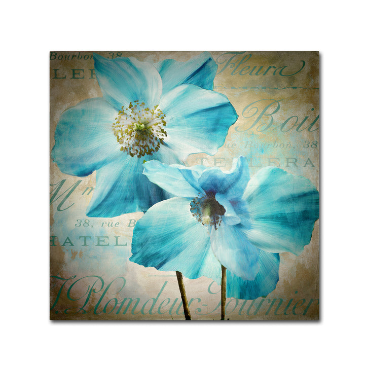 Color Bakery Himalayan Blue I Canvas Wall Art 14 x 14 Image 2