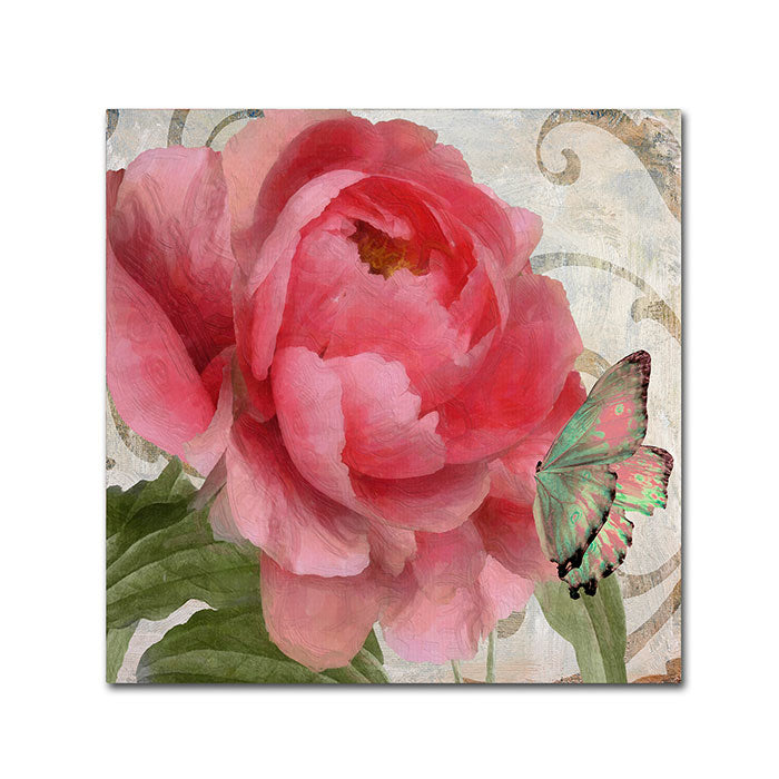 Color Bakery Apricot Peonies II Canvas Wall Art 14 x 14 Image 1