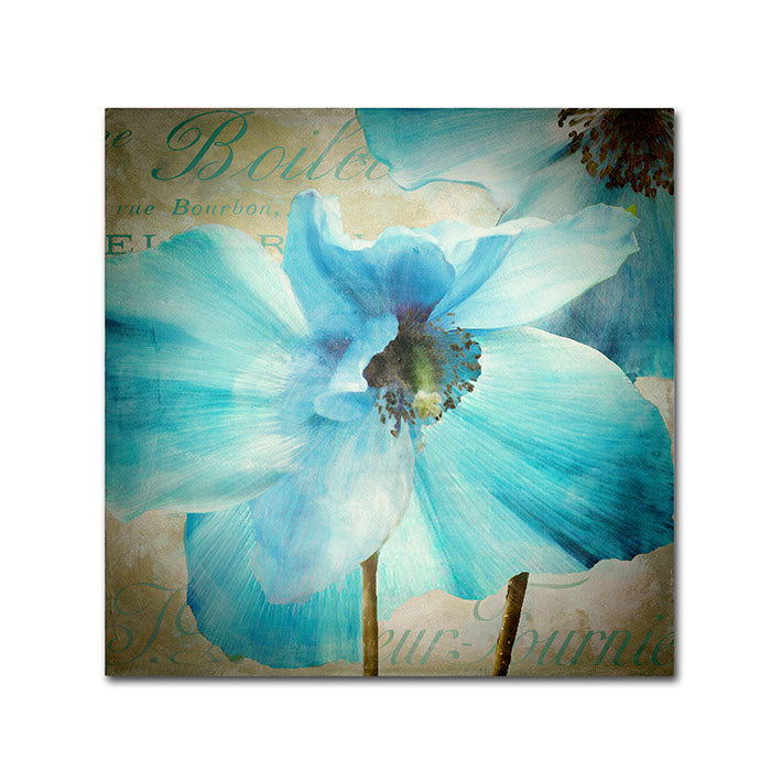 Color Bakery Himalayan Blue II Canvas Wall Art 14 x 14 Image 1