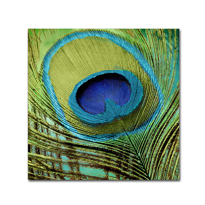 Color Bakery Peacock Candy V Canvas Wall Art 14 x 14 Image 1