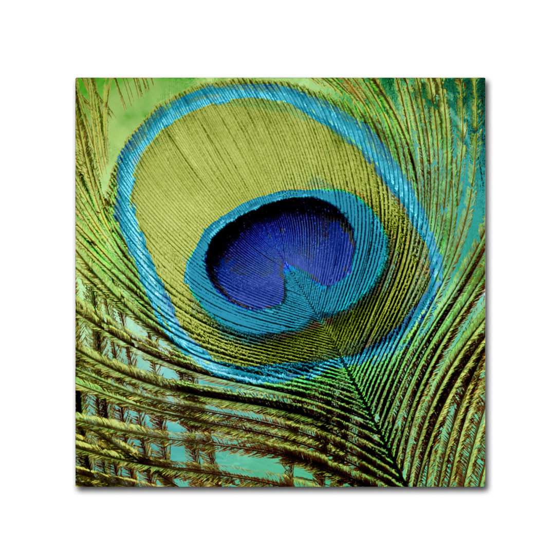 Color Bakery Peacock Candy V Canvas Wall Art 14 x 14 Image 2