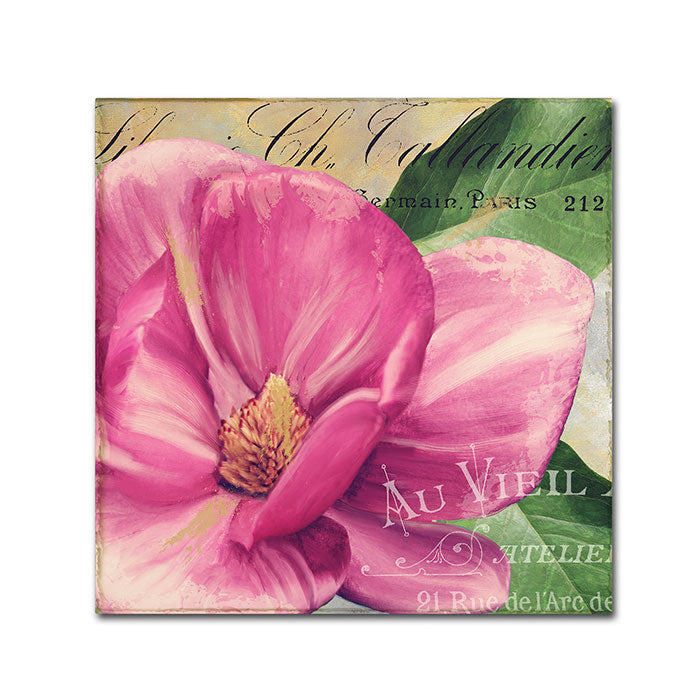 Color Bakery Pink Magnolia II Canvas Wall Art 14 x 14 Image 1