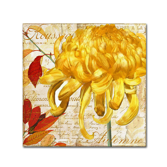 Color Bakery Chrysanthemums II Canvas Wall Art 14 x 14 Image 1