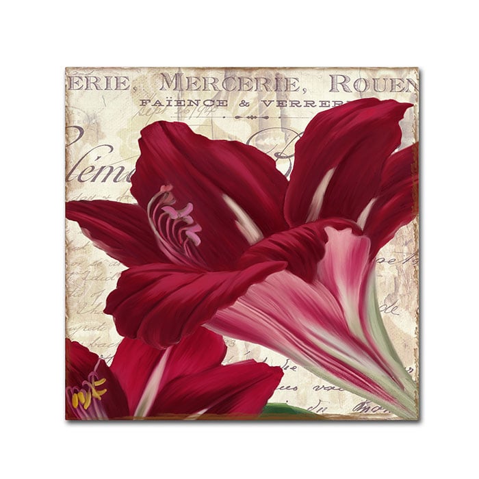 Color Bakery Amaryllis Canvas Wall Art 14 x 14 Image 1