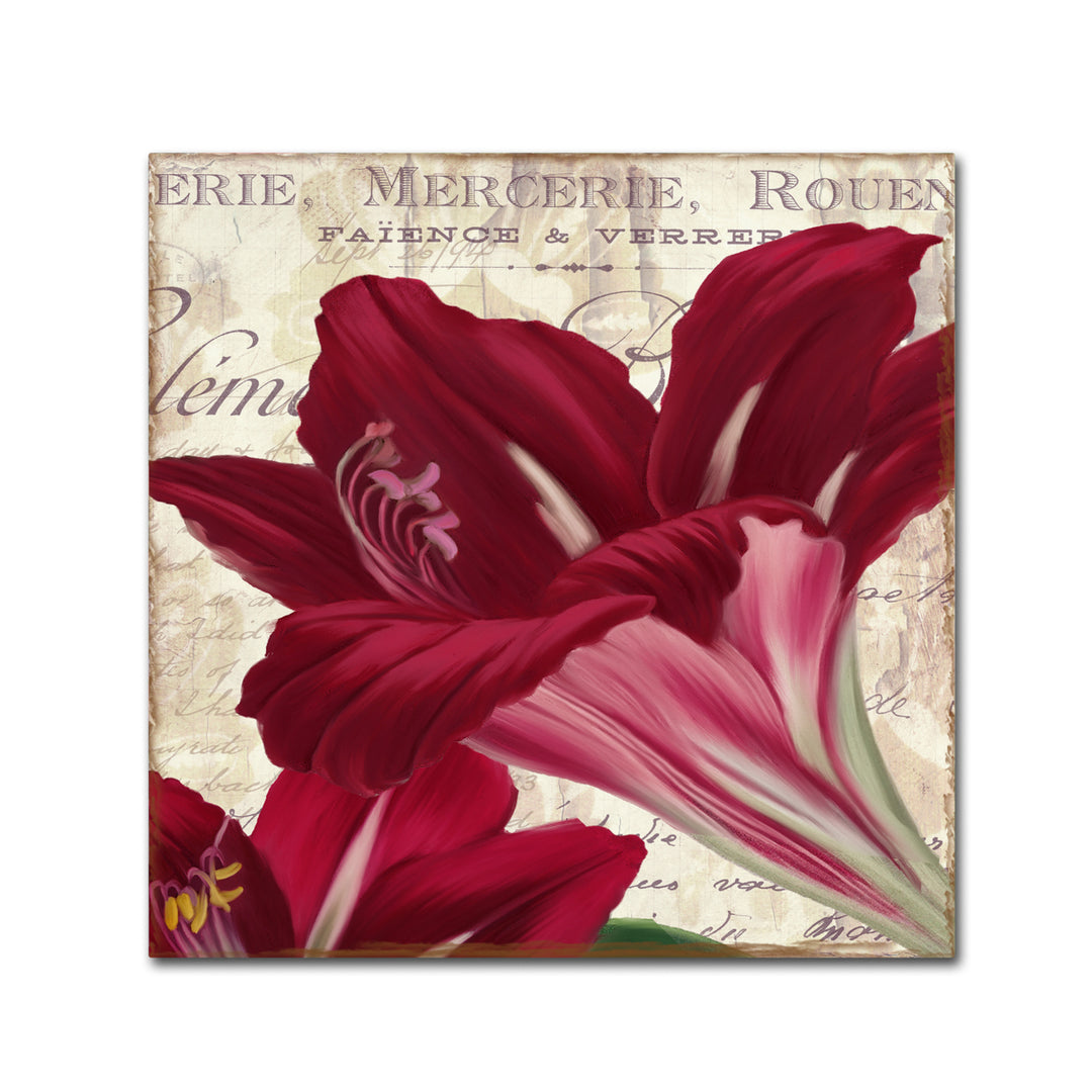 Color Bakery Amaryllis Canvas Wall Art 14 x 14 Image 2