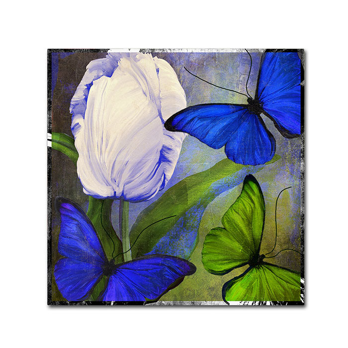 Color Bakery Morphos One Canvas Wall Art 14 x 14 Image 1