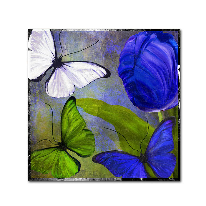 Color Bakery Morphos Two Canvas Wall Art 14 x 14 Image 1