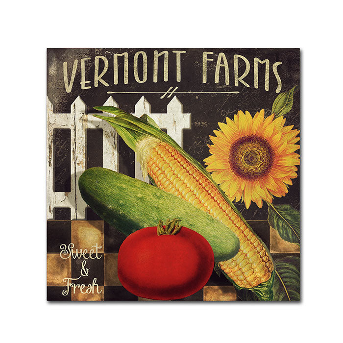 Color Bakery Vermont Farms VII Canvas Wall Art 14 x 14 Image 1