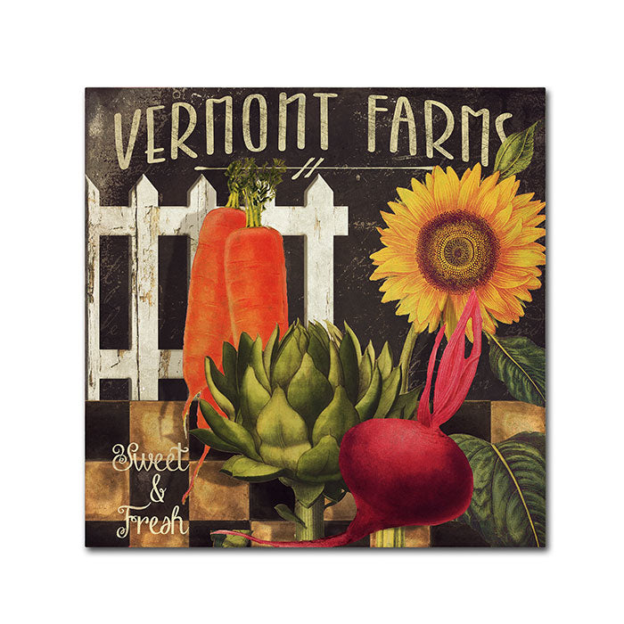 Color Bakery Vermont Farms VIII Canvas Wall Art 14 x 14 Image 1