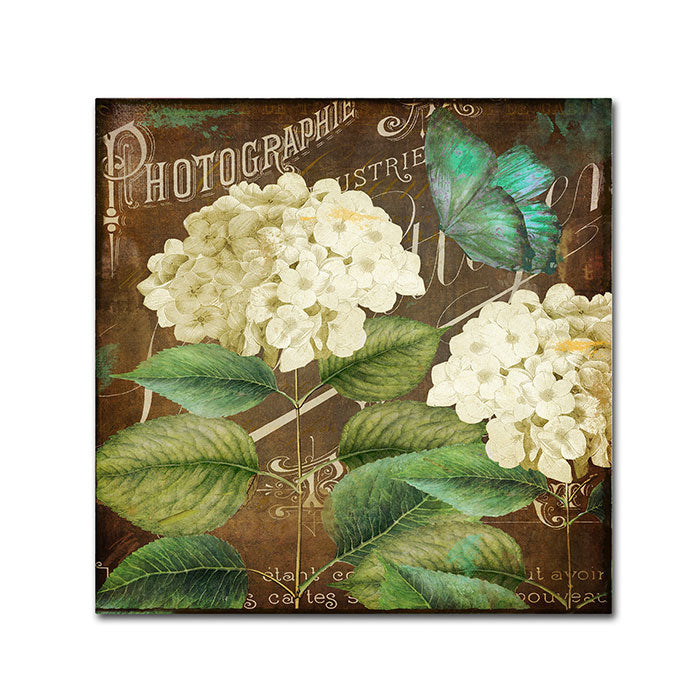 Color Bakery Alabaster Hydrangea Canvas Wall Art 14 x 14 Image 1