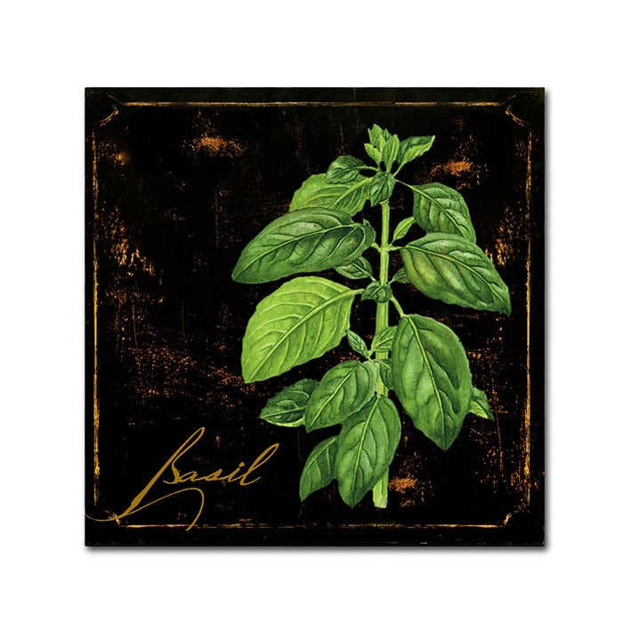 Color Bakery Black Gold Herbs IV Canvas Wall Art 14 x 14 Image 1