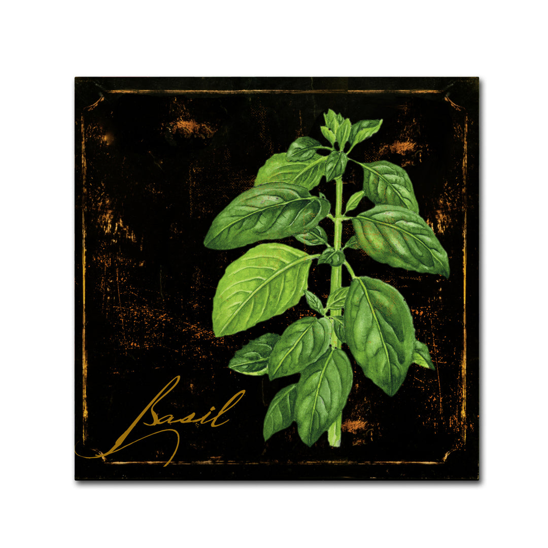 Color Bakery Black Gold Herbs IV Canvas Wall Art 14 x 14 Image 2