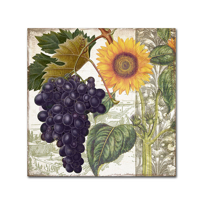 Color Bakery Dolcetto I Canvas Wall Art 14 x 14 Image 1